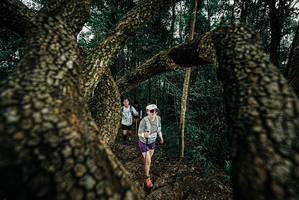 BIB: 
                            <button type="button" onclick="openModal(25703087)" class="btn btn-primary btn-sm float-right btn-popup" data-toggle="modal" data-target=".modal-high-quality">
                        <i class="fas fa-shopping-cart"></i> Add to Cart
                    </button>
                                            <button type="button" onclick="isThisMe(25703087, true)" class="btn btn-success btn-sm float-right btn-popup btn-isme hidden" data-toggle="tooltip" data-placement="bottom" title="นี่คือรูปของคุณใช่ไหม คลิกที่นี่เพื่อเอาเข้าอัลบั้ม">
                        <i class="fas fa-plus"></i> Add to album
                    </button>
                    <button type="button" onclick="isThisMe(25703087, false)" class="btn btn-warning btn-sm float-right btn-popup btn-isnotme hidden">
                        <i class="fas fa-ban"></i> Remove from album
                    </button>